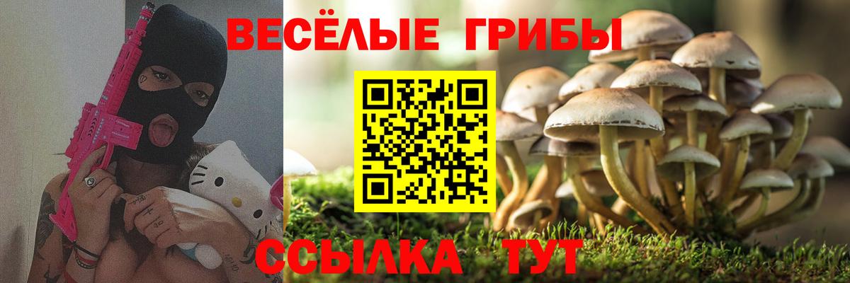 Галлюциногенные грибы мухоморы  Вход с VPN  Галлюциногенные грибы Cubensis  Краснотурьинск 