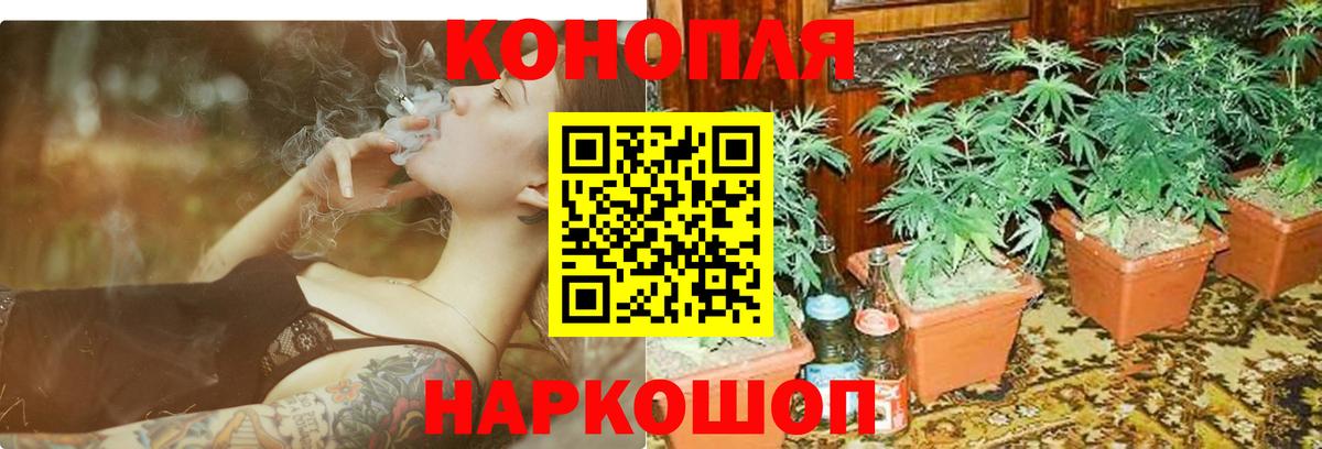 Бошки Шишки индика Краснотурьинск